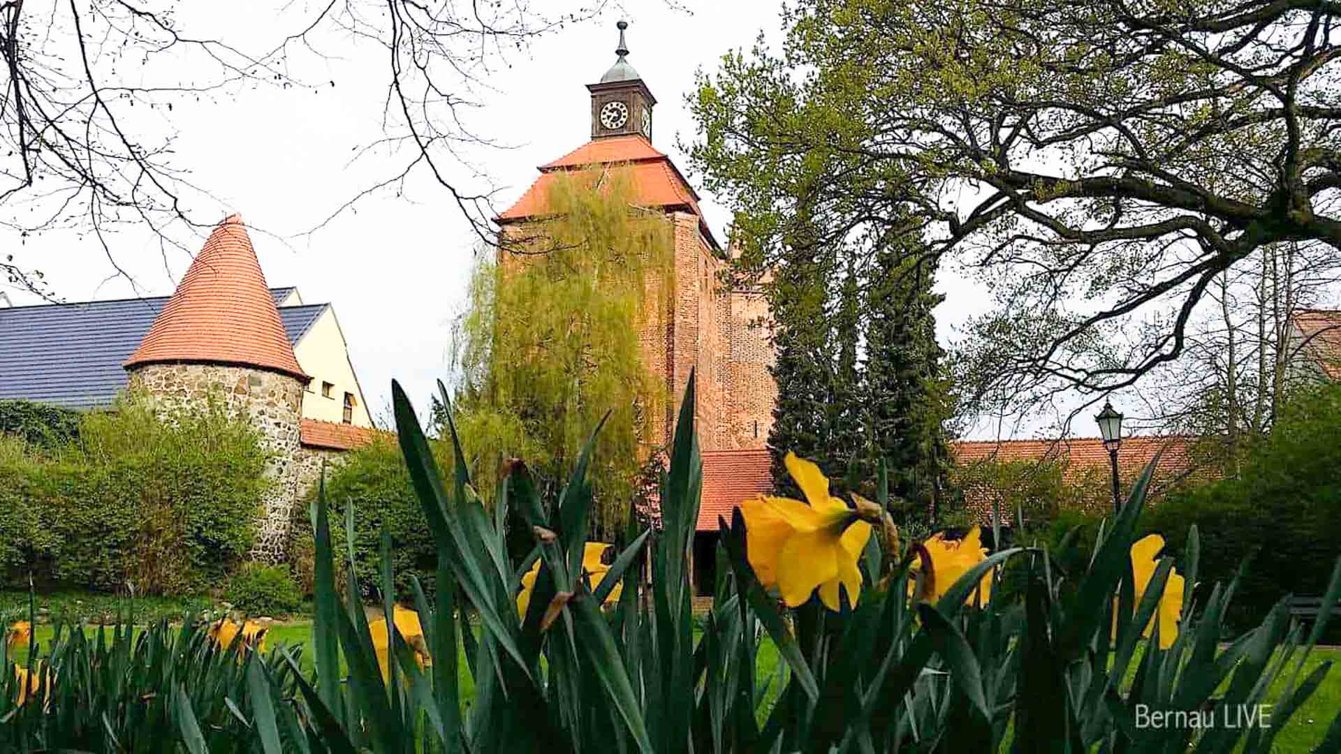 Hallo aus Bernau und allen eine gute Wochenmitte