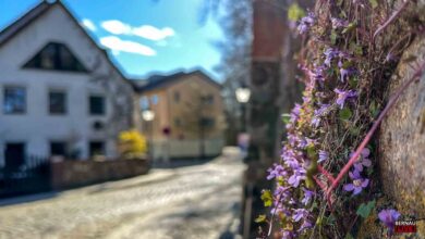 Guten Morgen aus Bernau und willkommen in der neuen Woche