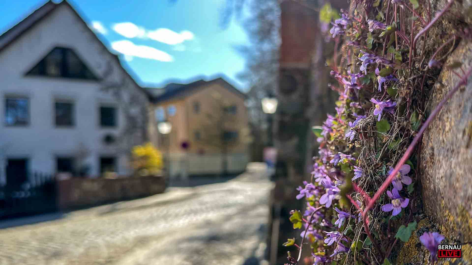 Guten Morgen aus Bernau und willkommen in der neuen Woche