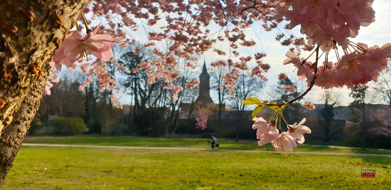 Guten Morgen aus Bernau und einen schönen Donnerstag