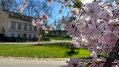 Euch dann mal nen schönen Donnerstag und guten Morgen aus Bernau