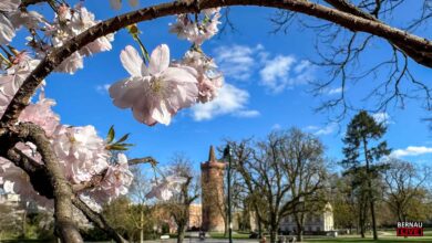 Bernau LIVE wünscht allen einen sonnigen Sonntag bei bis zu 22 Grad