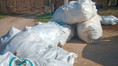 Bernau: Säckeweise Müll am Naturschutzgebiet Schönower Heide abgelegt