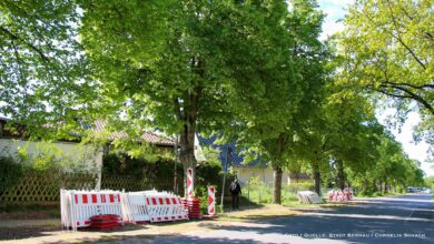 Bauarbeiten für neuen Gehweg im Bernauer Blumenhag gestartet