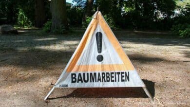 Bernau: Baumpflegemaßnahmen im Stadtpark und an den Wallanlagen