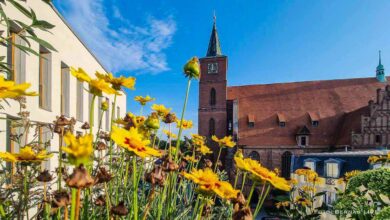 Willkommen in der neuen Woche und guten Morgen aus Bernau 17 Willkommen in der neuen Woche und guten Morgen aus Bernau