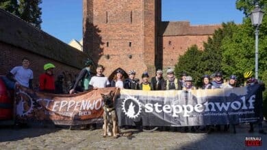 Bernau LIVE - Dein Stadtmagazin