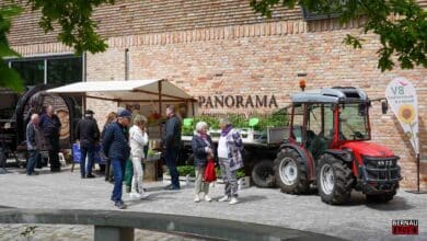 Zahlreiche Besucher beim Museumsfest im Barnim Panorama Wandlitz