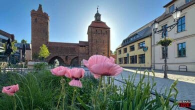 Guten Morgen aus Bernau und allen einen schönen Donnerstag