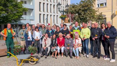 Danke dafür - Blumenampeln schmücken die Bernauer Innenstadt