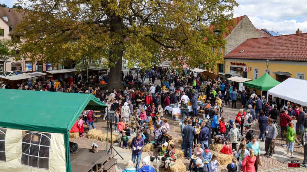 Bernau LIVE am Sonntag: Sonne, Sommer und Ausflugstipps 2 Auf zum 13. Regionalmarkt in der Naturparkstadt Biesenthal