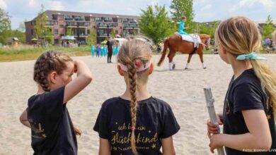 Bernau / Barnim: Am Samstag, dem 10. Mai 2025, lädt der Verein Bernau Südstadt e. V. bereits zum 5. Frühlingsfest in den Bernauer Panke-Park ein. 