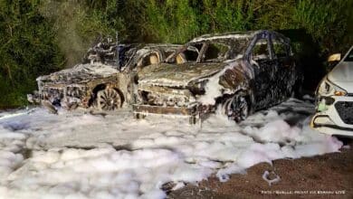 Sechs Autos brannten in Bernau - Mutmaßlicher Brandstifter festgenommen