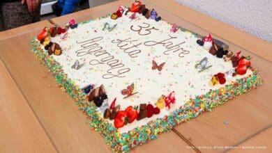 35 Jahre Kita Angergang in Bernau: Ein Fest für Kinder und Erzieher Bild mit Geburtstagstorte