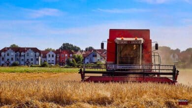 Willkommen im Juli und guten Morgen aus Bernau