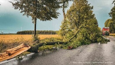 Sturmtief und Gewitter - Eine einsatzreiche Woche für die Bernauer Feuerwehr