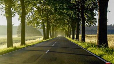 Guten Morgen aus Bernau und allen einen schönen Freitag