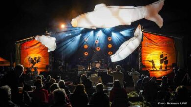 Inselleuchten in Börnicke - Infos und Programm am Samstag, den 19.07.