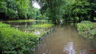 Wetterdienste warnen vor heftigen Starkregen in Bernau und Barnim