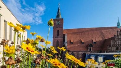 Willkommen in der Wochenmitte und guten Morgen aus Bernau