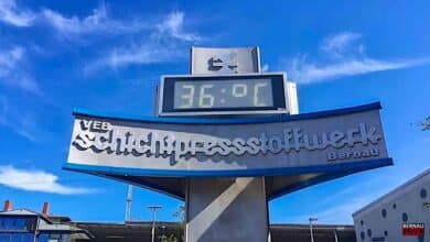 Moin, Bernau LIVE wünscht eine sommerlich-schöne Wochenmitte