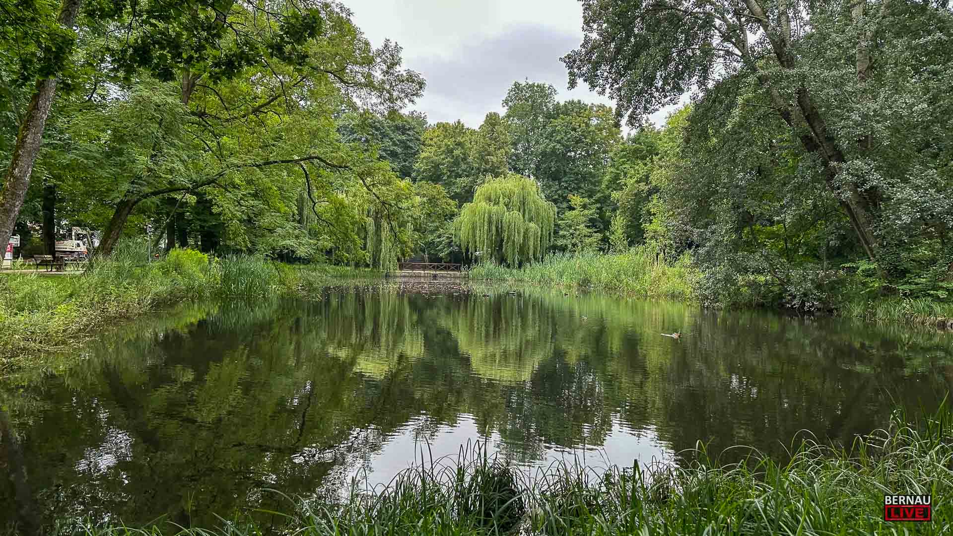 Regenwasser sorgt für gut gefüllte Teiche und Wasservorräte in Bernau 10 Regenwasser sorgt für gut gefüllte Teiche und Wasservorräte in Bernau