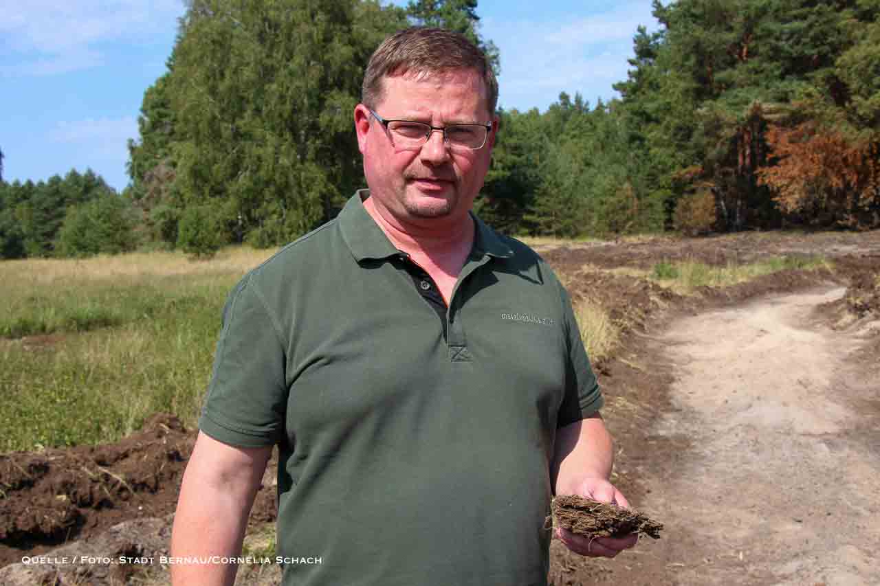 Bernau: Fazit nach dem Waldbrand und was aus der betroffenen Fläche wird