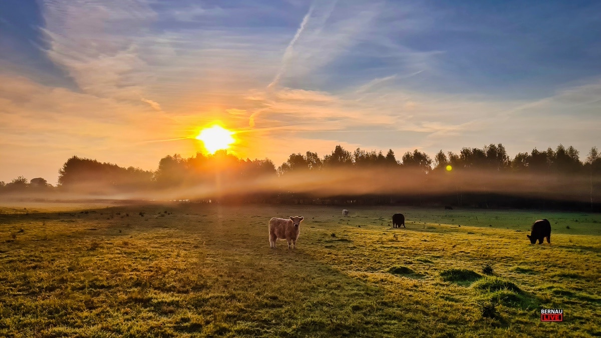 Guten Morgen aus Bernau und allen einen sonnig-schönen Freitag