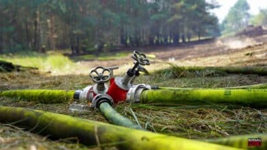 Waldbrand in Bernau leider wieder erneut entfacht