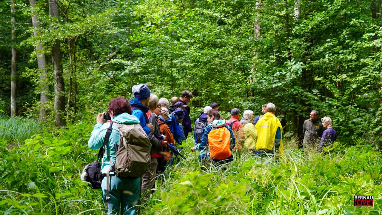 Unterwegs in den Mooren rund um Bernau, Lobetal und Biesenthal