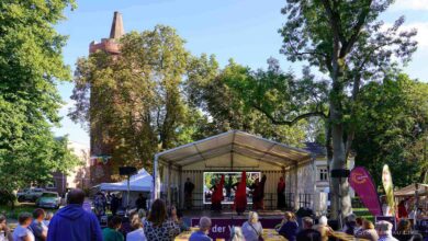 Am 31. August: Tag der Vereine und Voting Day im Stadtpark Bernau