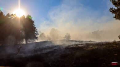 Waldbrand Schönower Heide / Bernau Waldfrieden - Löscharbeiten dauern noch an
