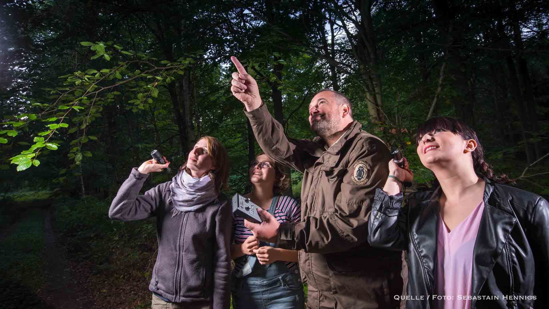 Barnim: Fledermäusen lauschen bei der Langen Naturwacht-Nacht
