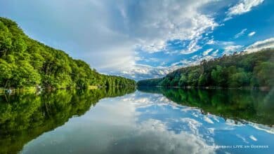 Veranstaltungen und Tipps für das Wochenende in Bernau und Barnim (23.08.-24.08.)