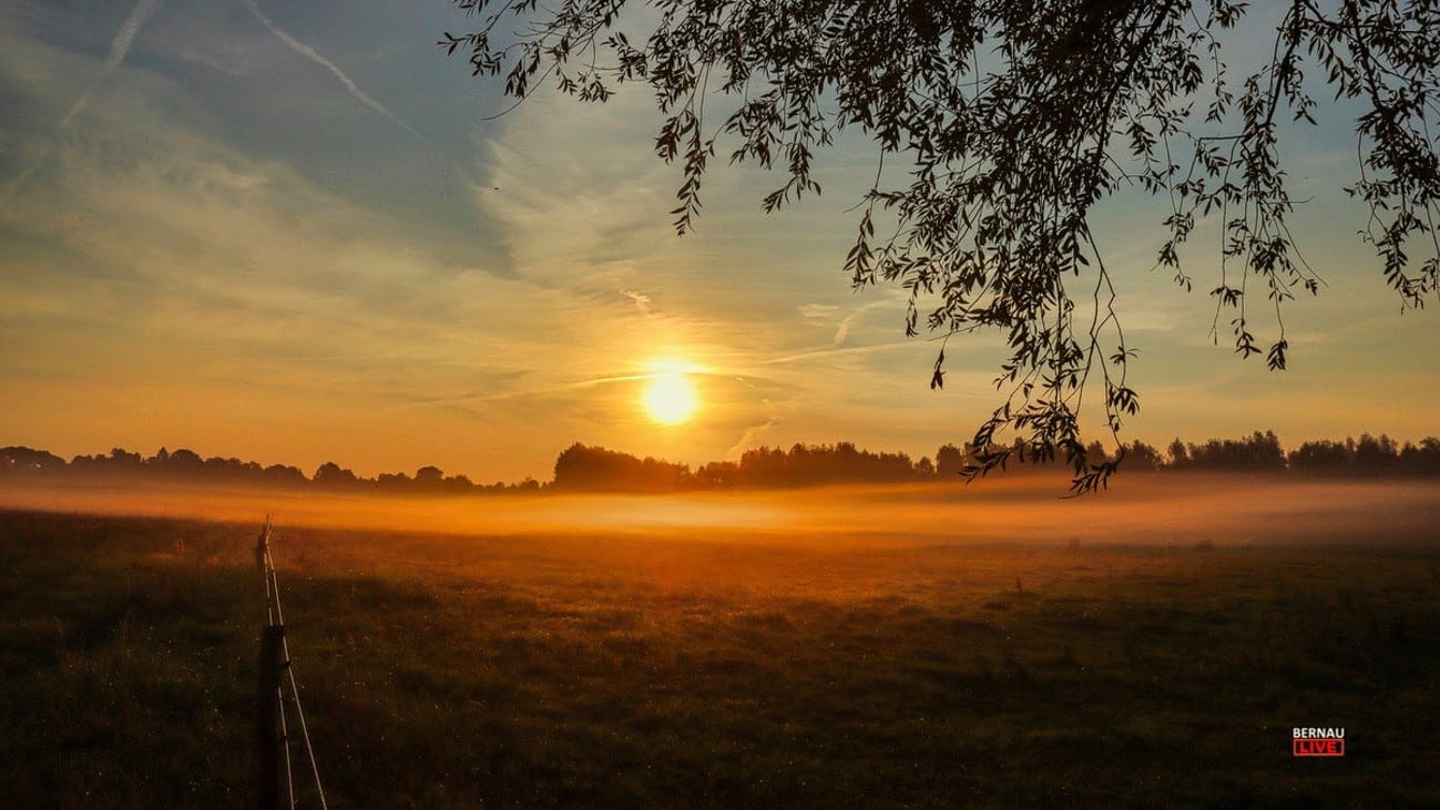 Guten Morgen aus Bernau und allen eine gute Wochenmitte