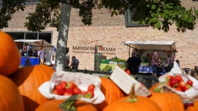 Gut besucht: Erntefest rund um das Barnim Panorama in Wandlitz