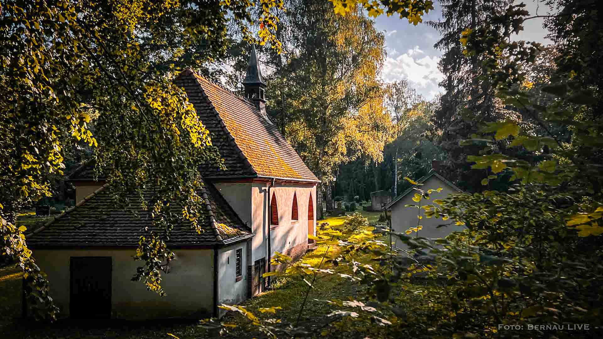 Bernau LIVE - Dein Stadtmagazin für Bernau bei Berlin