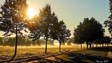 Guten Morgen aus Bernau und einen schönen Schulstart