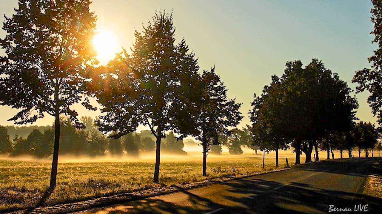 Guten Morgen aus Bernau und einen schönen Schulstart 1 Guten Morgen aus Bernau und einen schönen Schulstart
