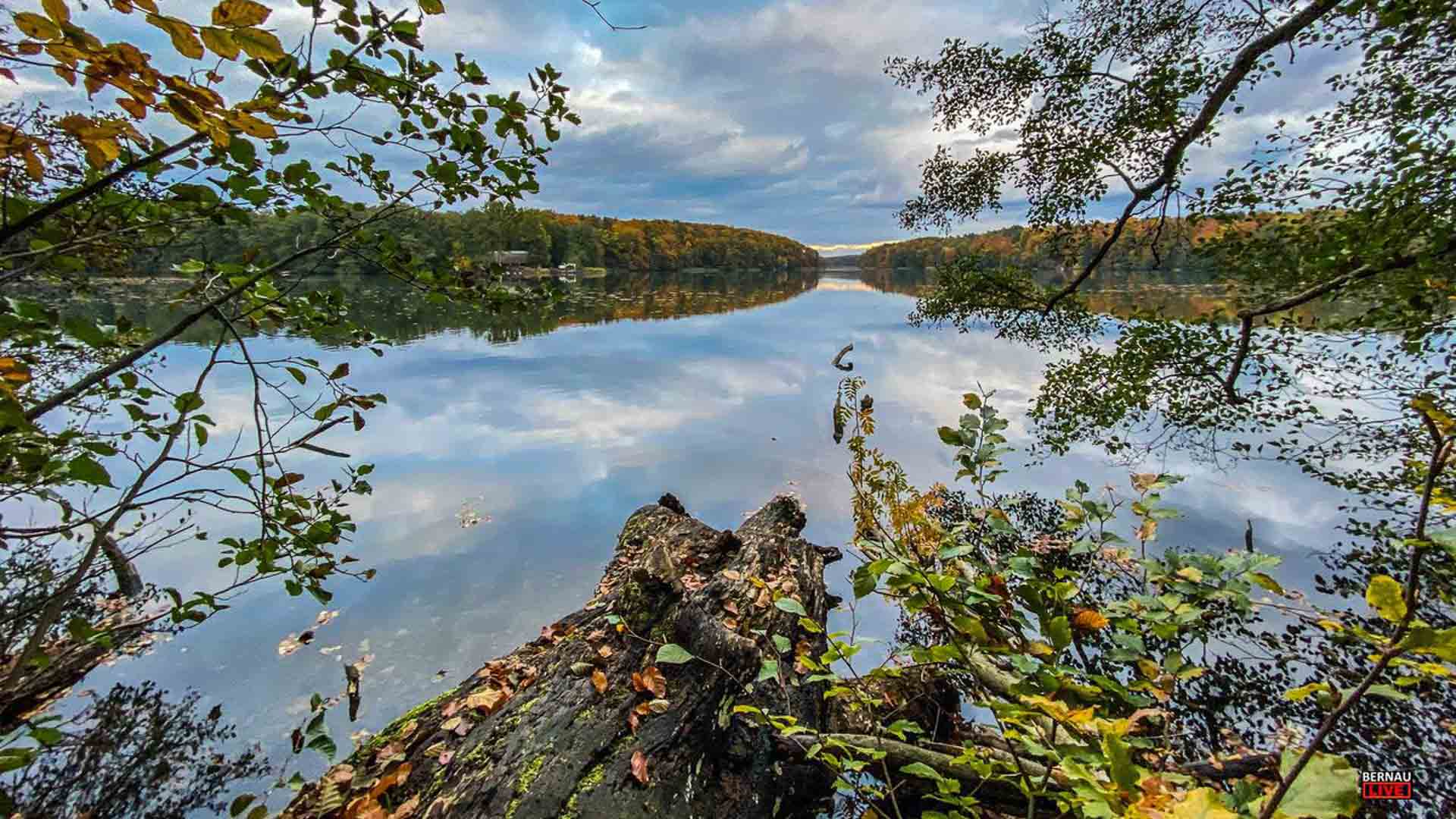 Guten Morgen aus Bernau und allen einen angenehmen Freitag 1 Guten Morgen aus Bernau und allen einen angenehmen Freitag
