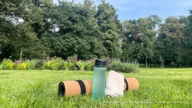 Sport im Park mit über 90 Kursen - Stadt Bernau zieht positive Bilanz