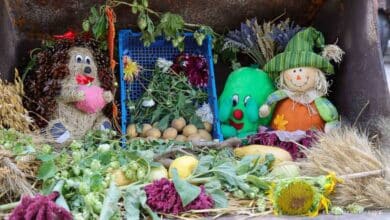 Vogelscheuchenmarkt mit offenen Höfen und Programm in Altlandsberg