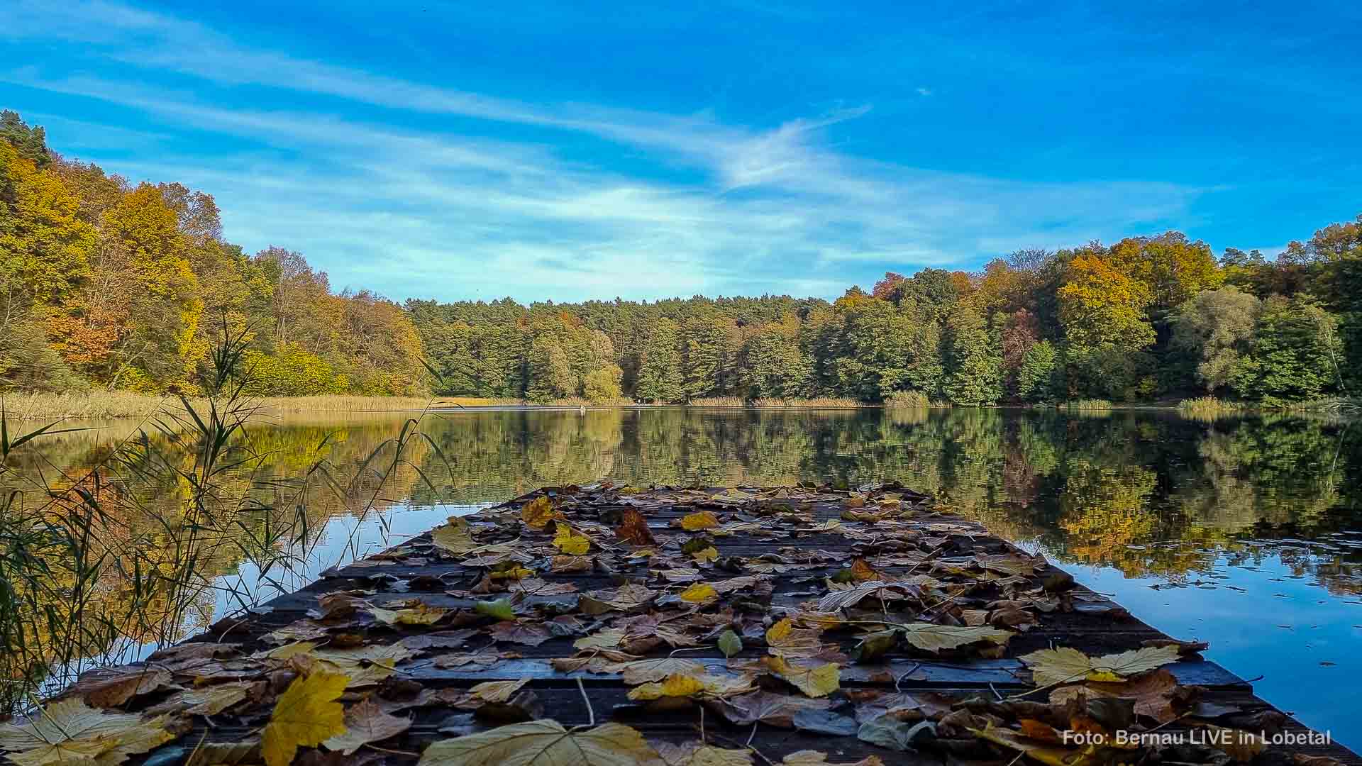 Halloween und Feiertag in Brandenburg - einige Tipps aus und um Bernau