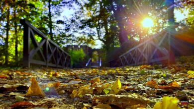 Willkommen in der neuen Woche und guten Morgen aus Bernau