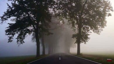 Guten Morgen aus Bernau und allen einen schönen Dienstag