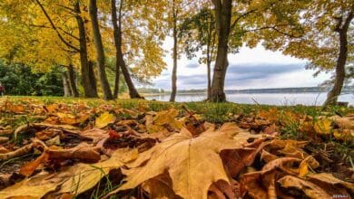 Veranstaltungen und Tipps für das Wochenende in Bernau und Barnim (11. - 12.10.)
