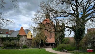 Halloween-Spektakel in Bernau: Külzpark wird für vier Tage zum Grusel-Hotspot