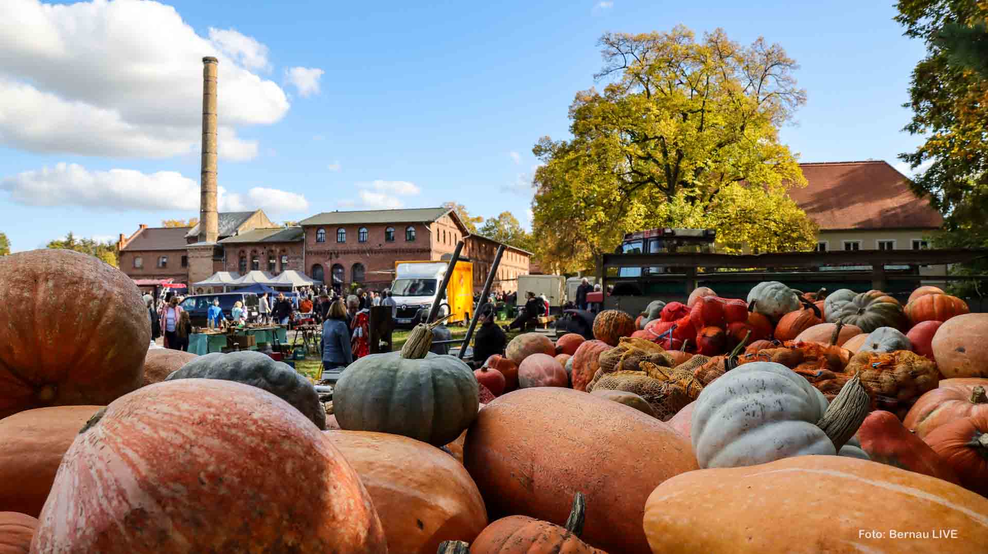 Kürbisfest und Regionalmarkt bei den Bernauer Braugenossen in Börnicke