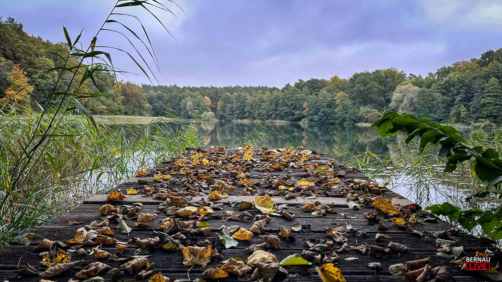 Guten Morgen aus Bernau und allen einen schönen Dienstag 1 Guten Morgen aus Bernau und allen einen schönen Dienstag