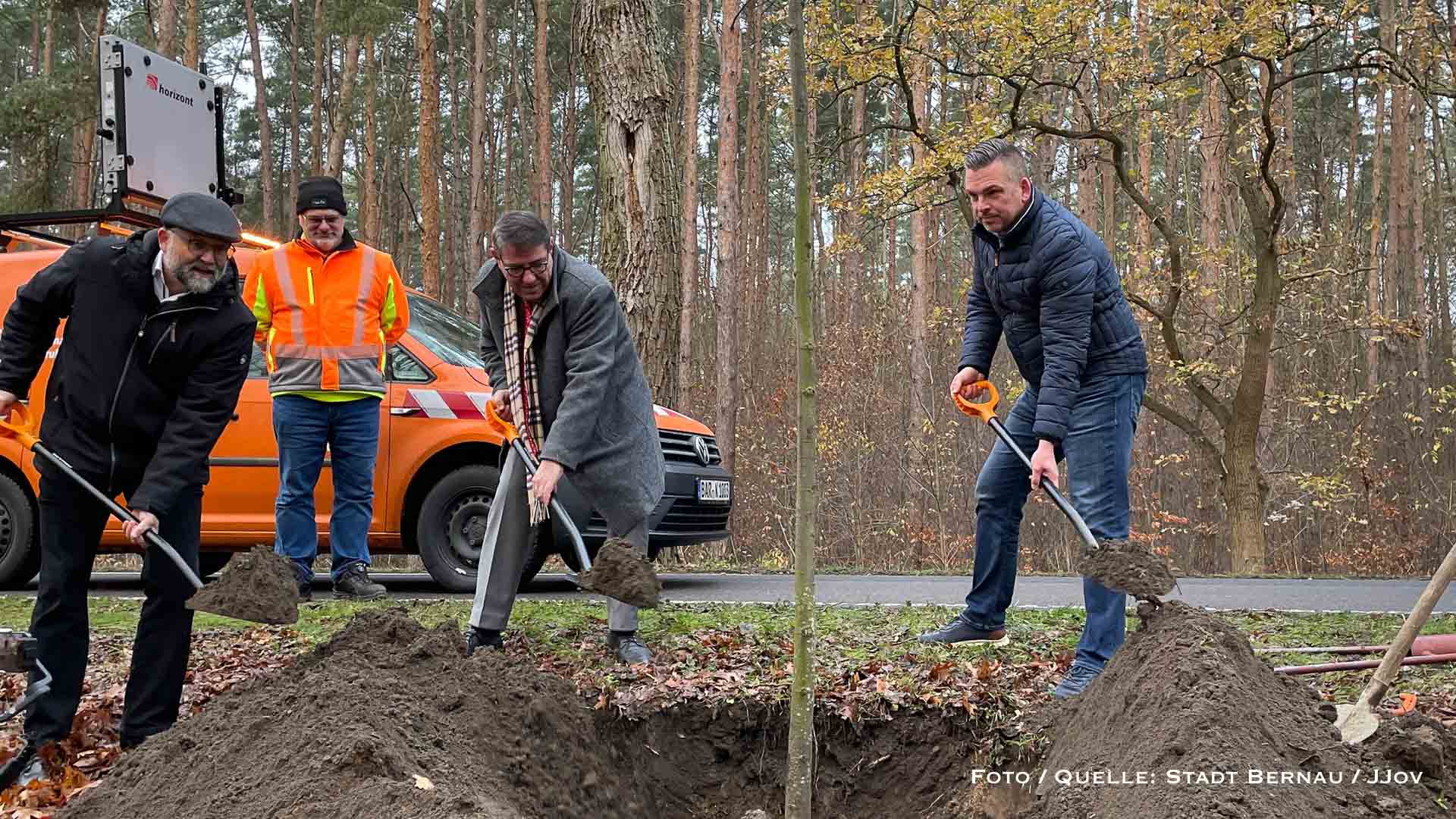Ökologischer Ausgleich in Bernau: 94 neue Bäume an der Albertshofer Chaussee